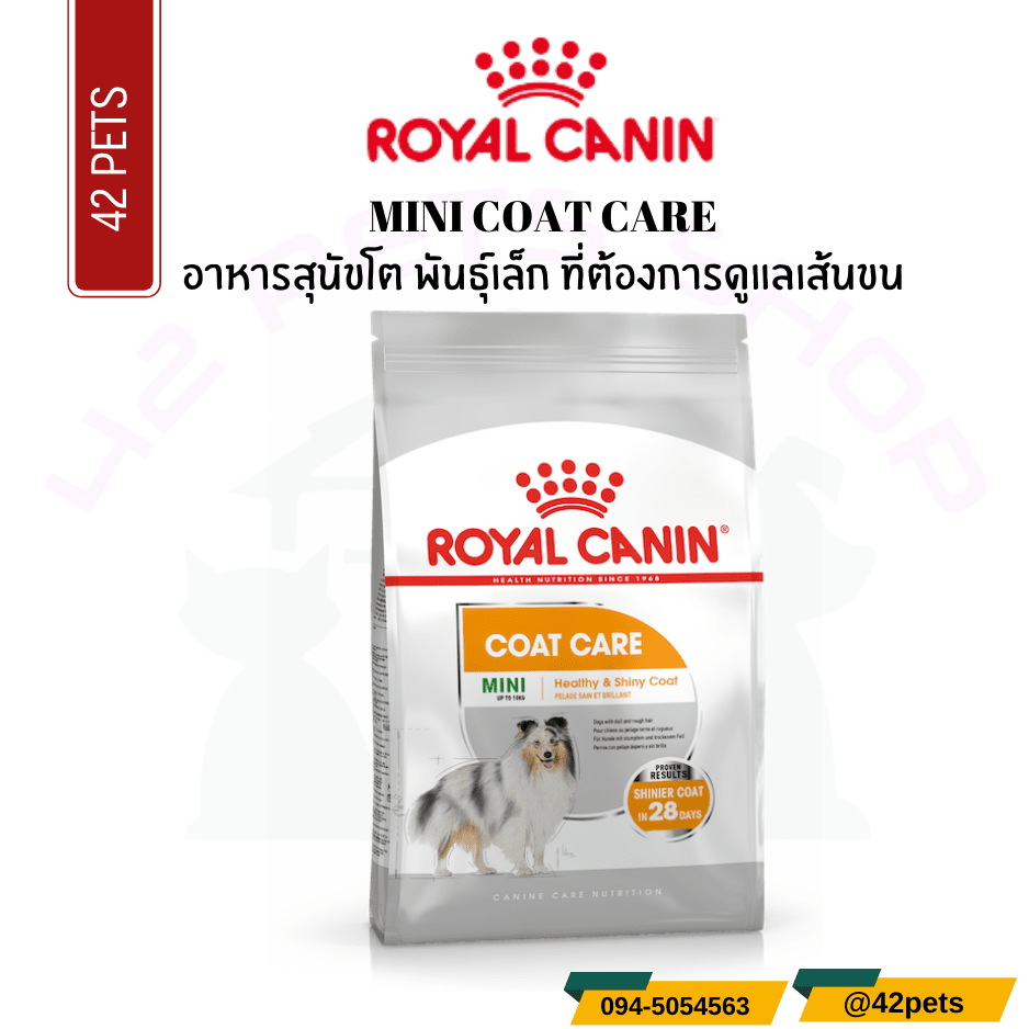 Royal Canin Food for Dog อาหารสุนัขโต พันธุ์เล็ก ที่ต้องการดูแลเส้นขน ชนิดเม็ด (MINI COAT CARE)