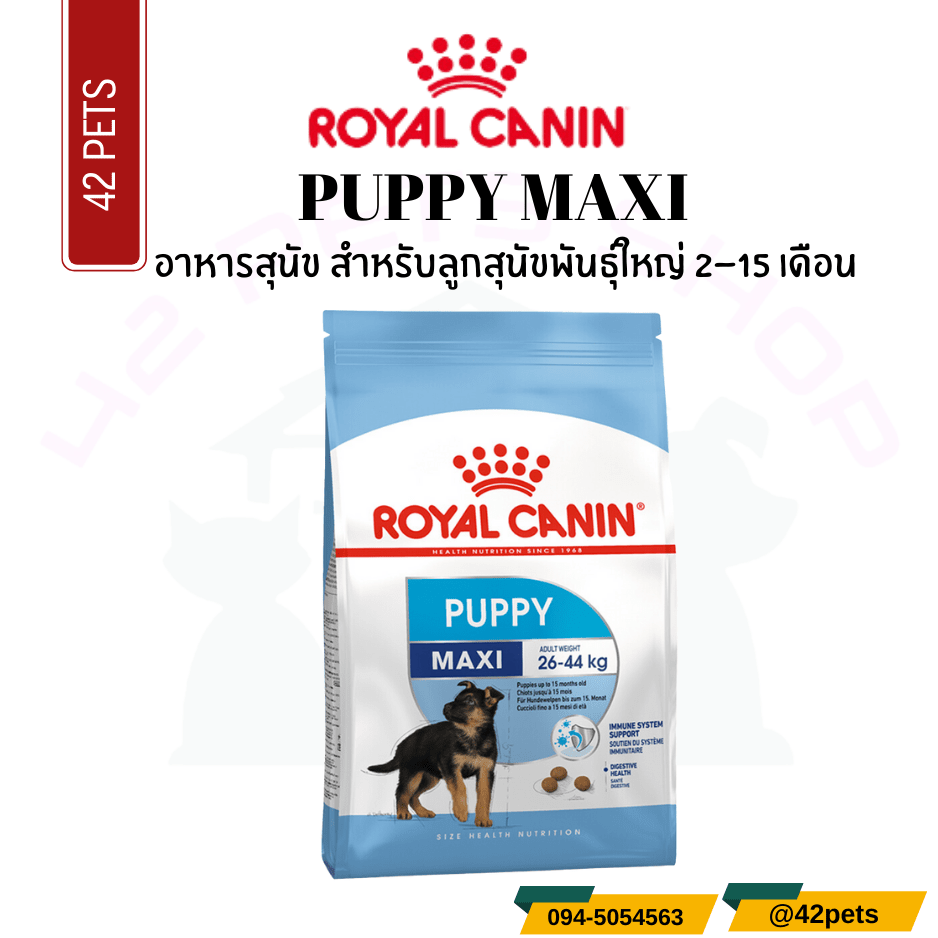 Royal Canin Food for Dog อาหารลูกสุนัข พันธุ์ใหญ่ ชนิดเม็ด (MAXI PUPPY)