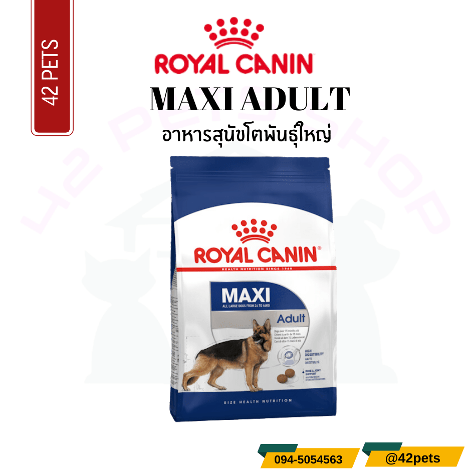 Royal Canin Food for Dog อาหารสุนัขโต พันธุ์ใหญ่ ชนิดเม็ด (MAXI ADULT)