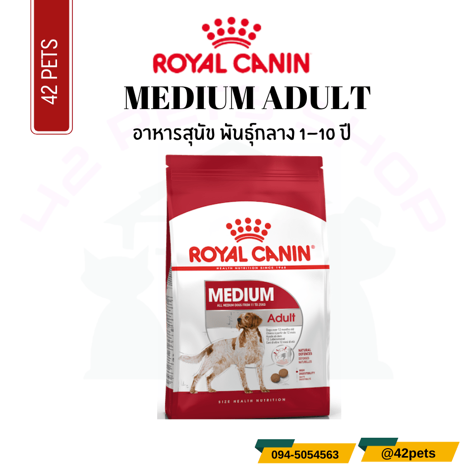Royal Canin Food for Dog อาหารสุนัขโต พันธุ์กลาง ชนิดเม็ด (MEDIUM ADULT)