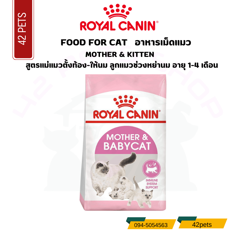 Royal canin Food For Cat Mother & Babycat สูตรแม่และลูก