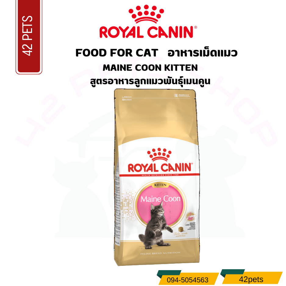 Royal canin Food For Cat อาหารลูกแมวพันธุ์เมนคูน ชนิดเม็ด (MAINE COON KITTEN)