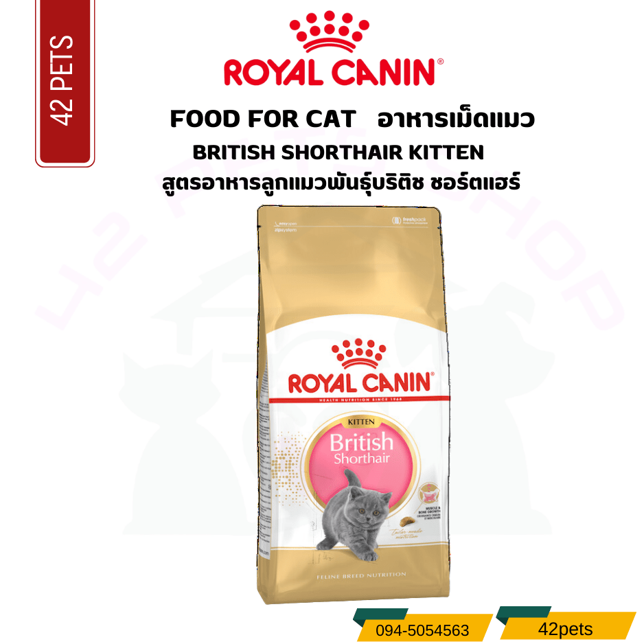 Royal canin Food for Cat อาหารลูกแมวพันธุ์บริติช ชอร์ตแฮร์ ชนิดเม็ด (BRITISH SHORTHAIR KITTEN)