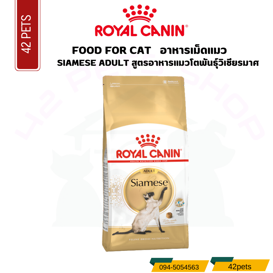 Royal canin Food Foor Cat อาหารแมวโตพันธุ์วิเชียรมาศ ชนิดเม็ด (SIAMESE ADULT)