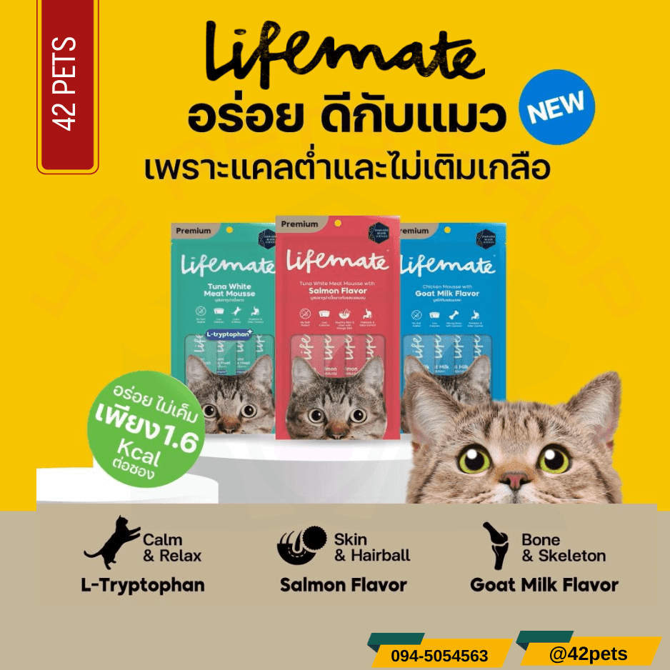 Lifemate แมวเลีย ขนมแมวเลีย เกรดพรีเมี่ยม ไลฟ์เมท ขนมแมวเลีย ขนาด 12g x 4 ซอง Mousse