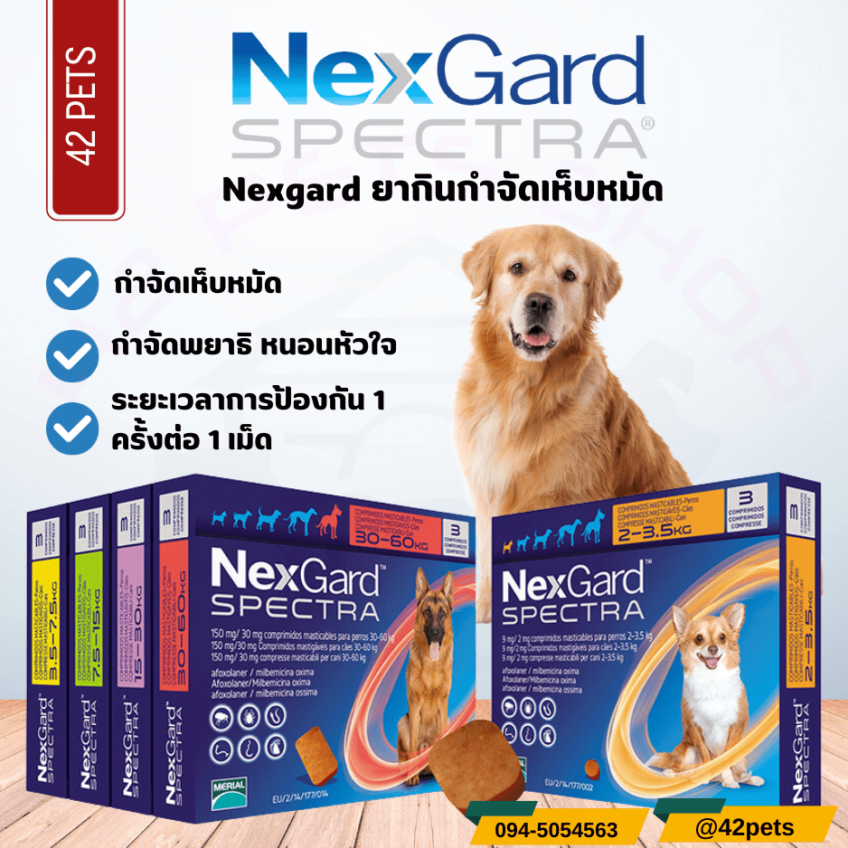 NexGard Spectra ยากำจัดเห็บหมัด สุนัข กันพยาธิหัวใจ ลำไส้