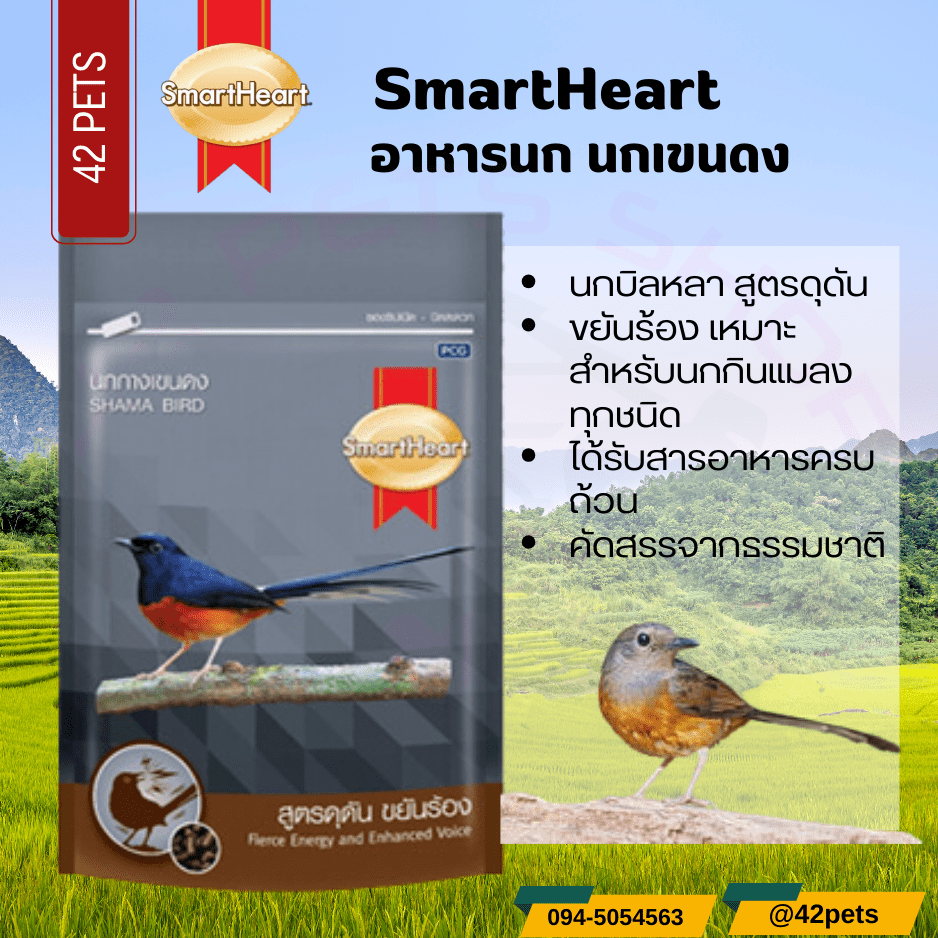 Smartheart สมาร์ทฮาร์ท  อาหารนกกางเขนดง สูตรดุดัน ขยันร้อง