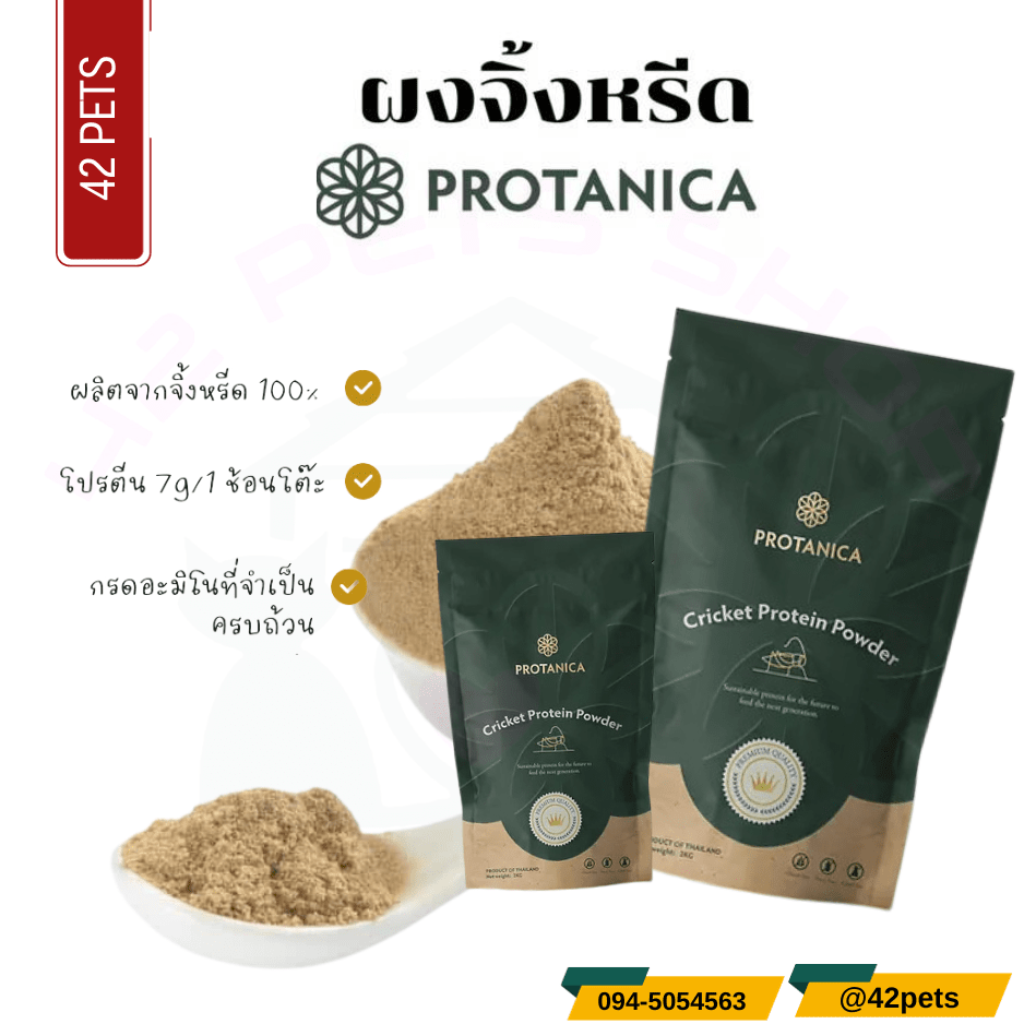 Protanica ผงโปรตีนจิ้งหรีด (Cricket Protein Powder)