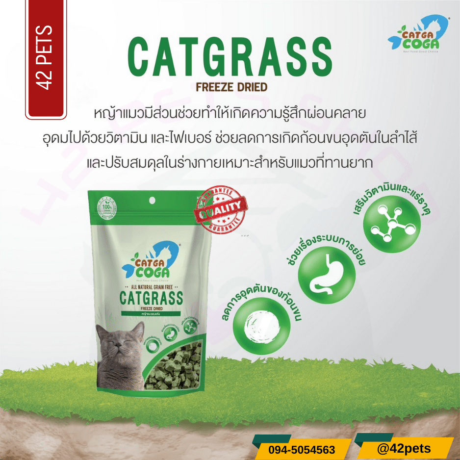 Catga Coga Catgrass Freeze Dried หญ้าแมวอบแห้ง 20g