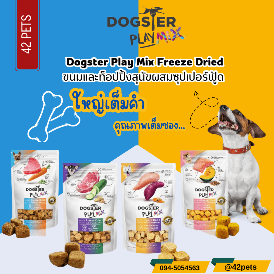 DOGSTER PLAY MIX – ขนมและทอปปิ้งฟรีซดายสำหรับสุนัข