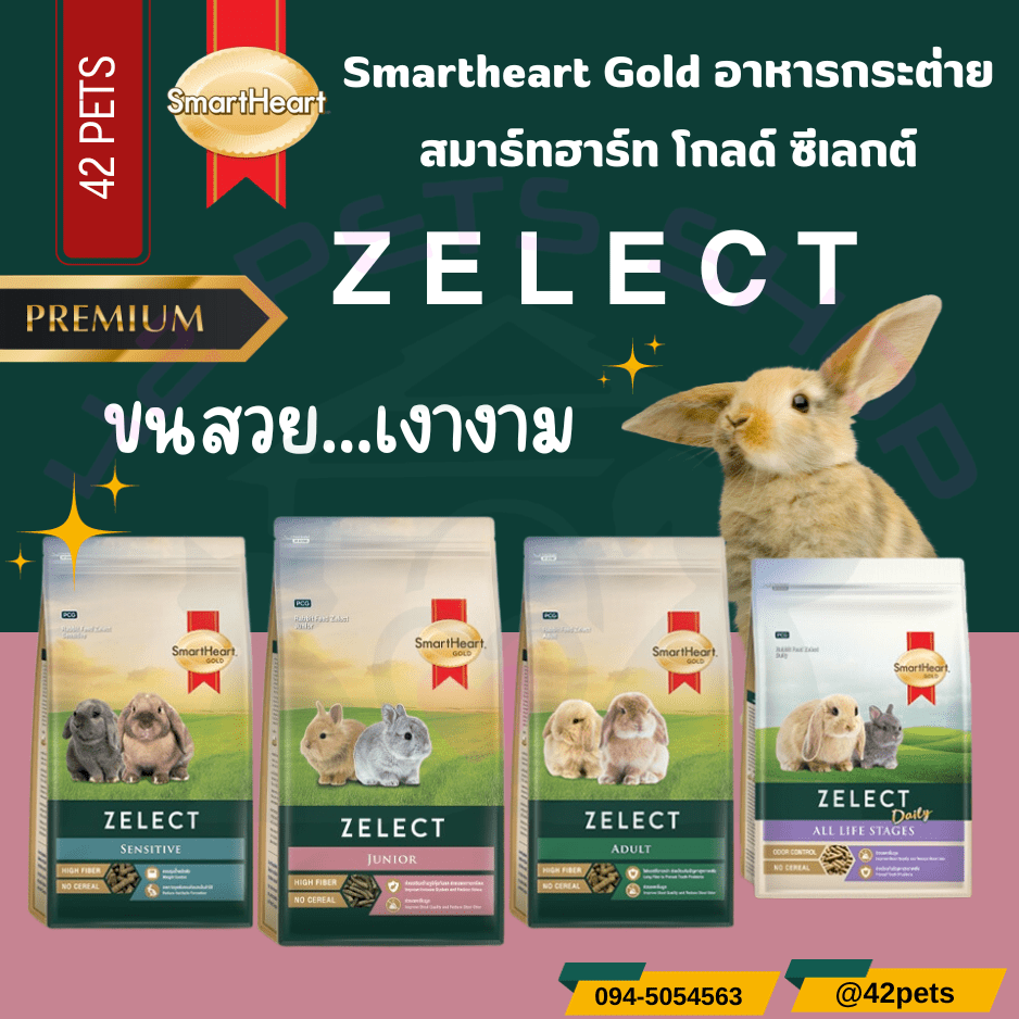 Smartheart Gold Rabbit Food สมาร์ทฮาร์ทโกลด อาหารกระต่ายสูตรพรีเมี่ยม
