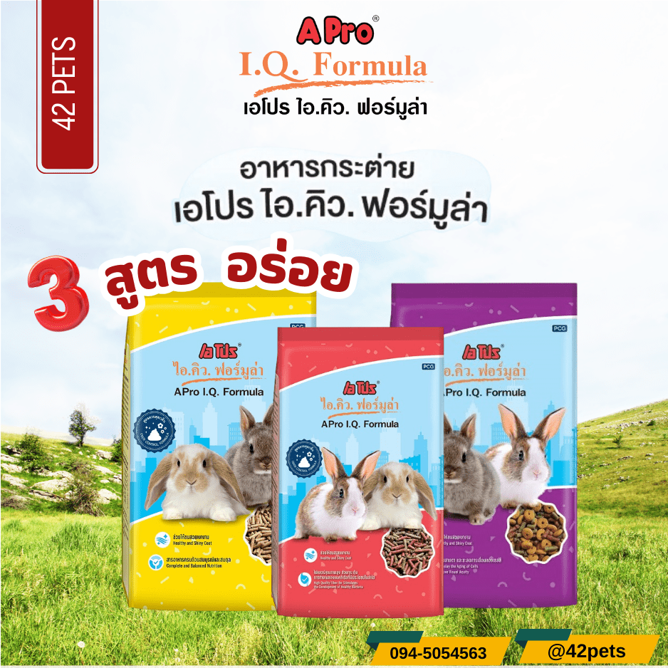 A PRO IQ เอโปร ไอคิว อาหารกระต่าย 3 สูตร