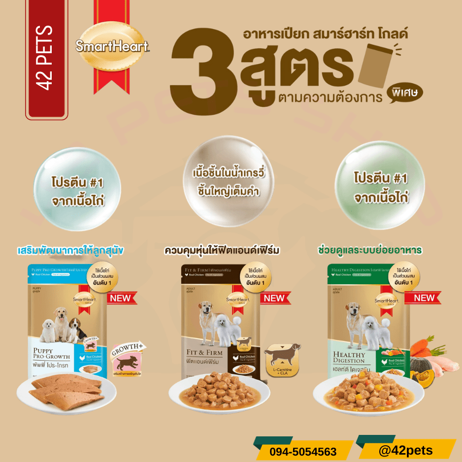 Smartheart Gold อาหารเปียกสำหรับสุนัข สูตรพิเศษ