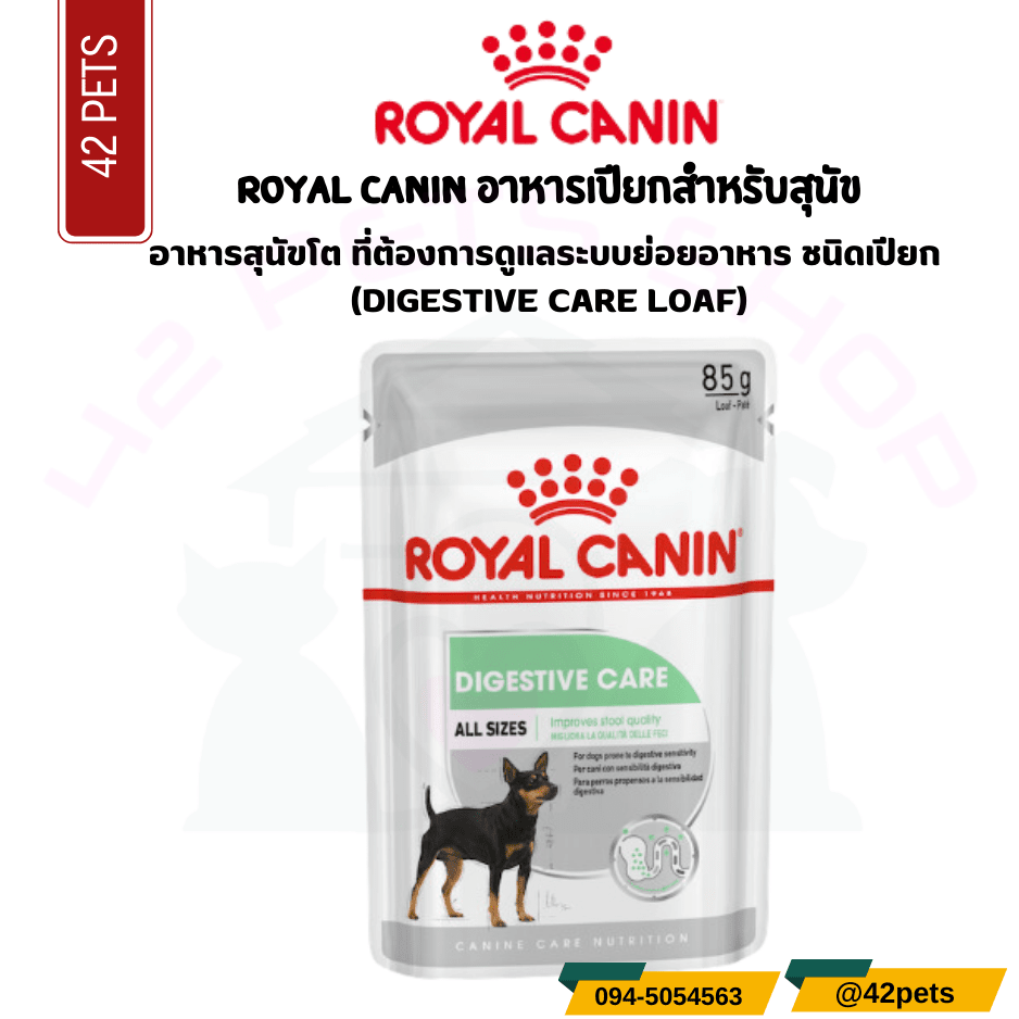 Royal canin อาหารสุนัขโต ที่ต้องการดูแลระบบย่อยอาหาร ชนิดเปียก (DIGESTIVE CARE LOAF)
