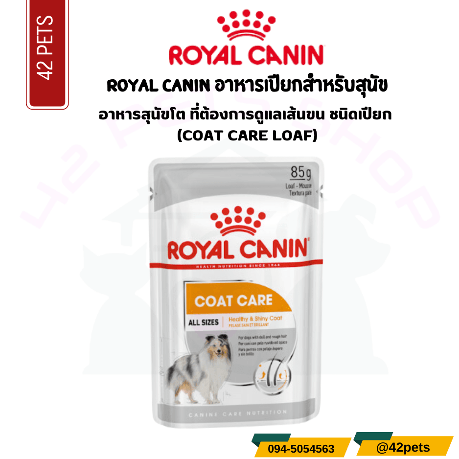 Royal canin อาหารสุนัขโต ที่ต้องการดูแลเส้นขน ชนิดเปียก (COAT CARE LOAF)