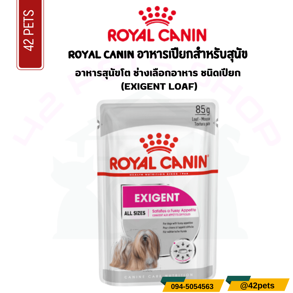 Royal canin อาหารสุนัขโต ช่างเลือกอาหาร ชนิดเปียก (EXIGENT LOAF)