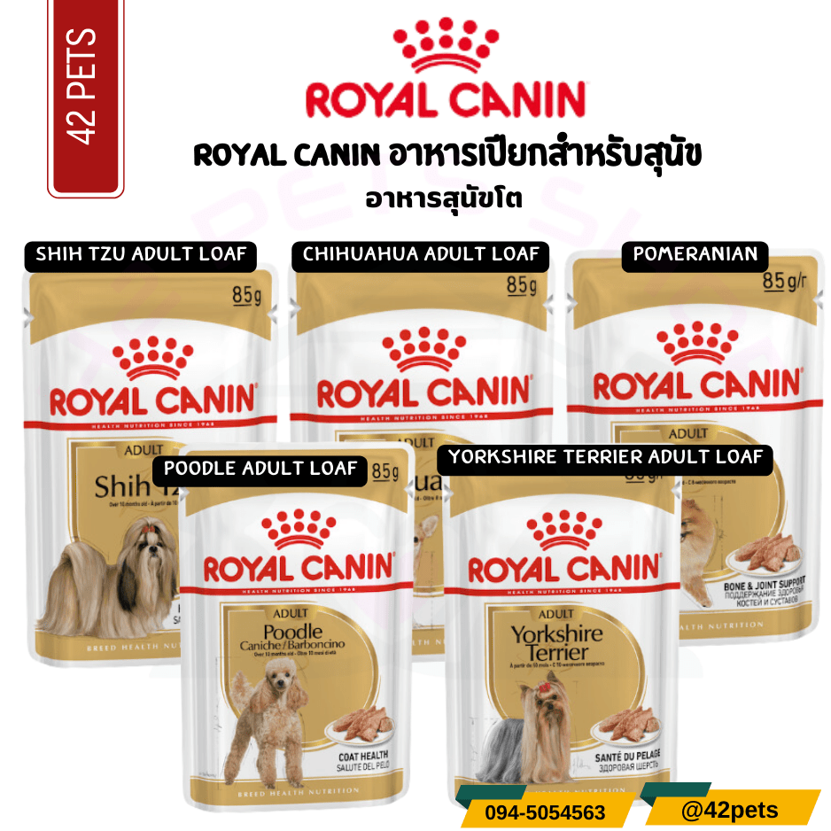 Royal canin อาหารสุนัขโต ชนิดเปียก
