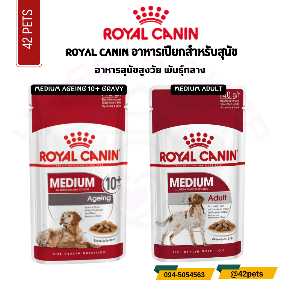 Royal canin อาหารสุนัขสูงวัย พันธุ์กลาง ชนิดเปียก
