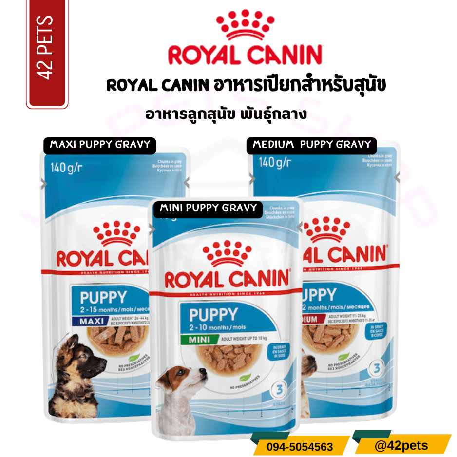 Royal Canin อาหารเปียกสุนัข ลูกสุนัข พันธุ์ใหญ่