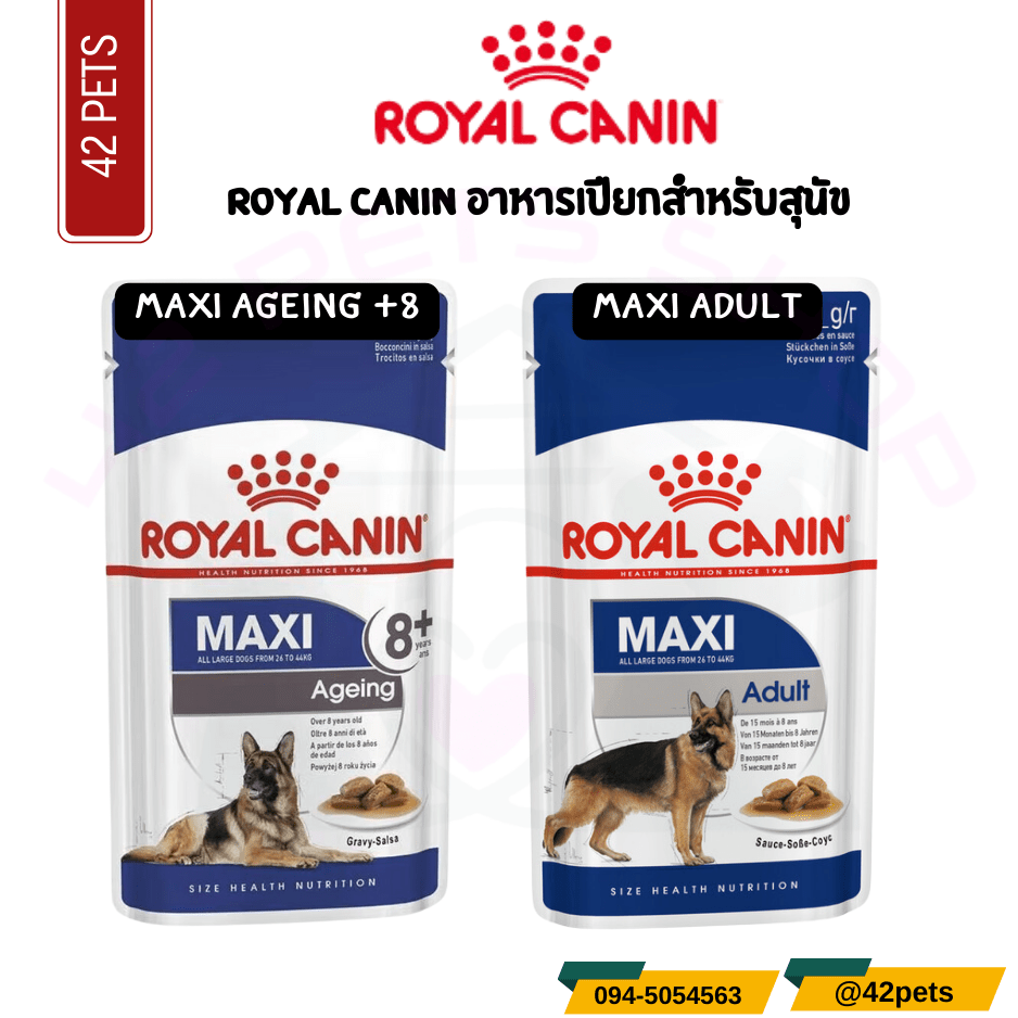 Royal Canin อาหารเปียกสุนัขสูงวัย พันธุ์ใหญ่ MAXI ADULT + 8+