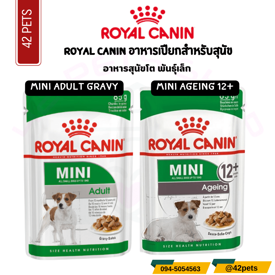 Royal canin อาหารเปียกสุนัข สูตรสุนัขโตพันธุ์เล็ก และ สุนัขสูงวัยพันธุ์เล็ก