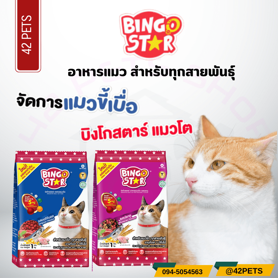 Bingo Star Cat บิงโก สตาร์ อาหารแมว   1kg.   10kg.  และ 20kg.