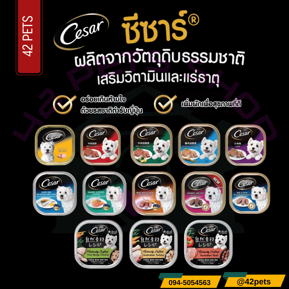 Cesar Premium Dog Tray ซีซาร์ อาหารเปียกสำหรับสุนัข  100g