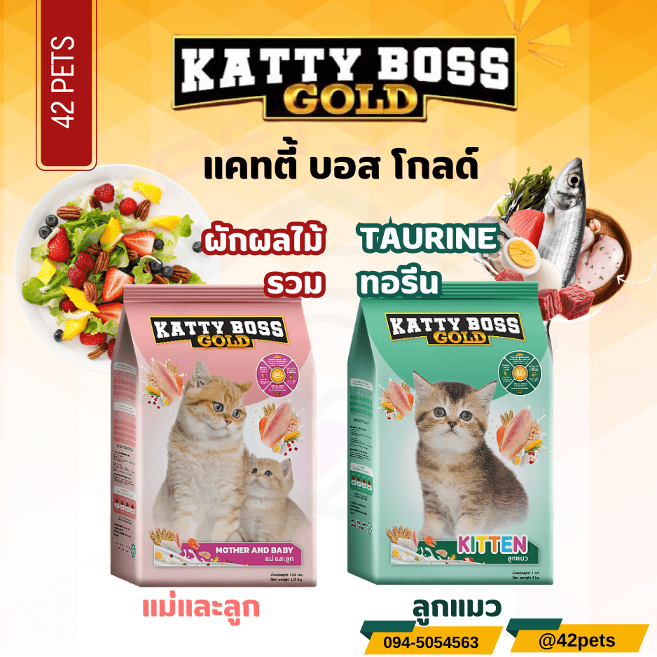 Katty Boss Gold อาหารแม่แมว และลูกแมว ขนาด 1.1kg.และ 1.2kg.