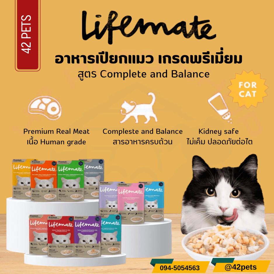 LIFEMATE Cat Wet Food อาหารเปียกแมว 70g. (1ซองและ1โหล)