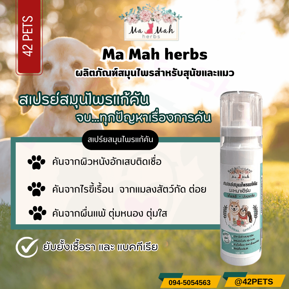 Ma Mah herbs  สเปร์ยสมุนไพรแก้คัน จบ…ทุกปัญหาการคัน