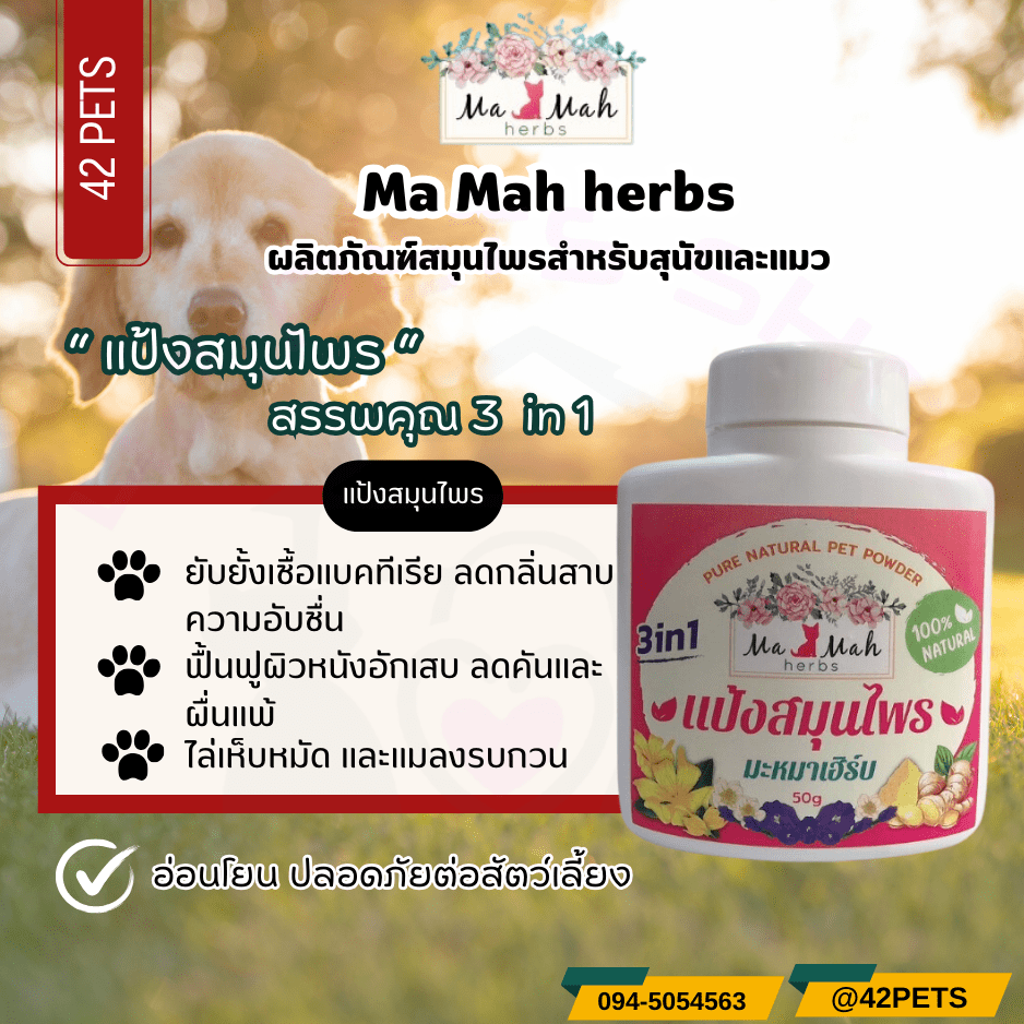 Ma Mah herbs แป้งสมุนไพร สรรพคุณ 3 in 1