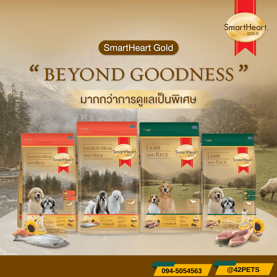 Smartheart Gold สุนัขโตและสุนัขพันธ์ุเล็ก สูตรแกะและแซลมอน