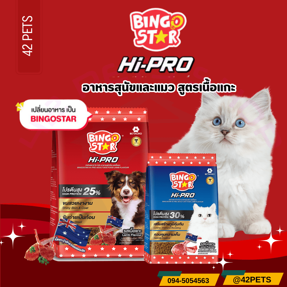 BINGO STAR บิงโกสตาร์ ไฮ-โปร อาหารสุนัขโตและแมว  รสเนื้อแกะ