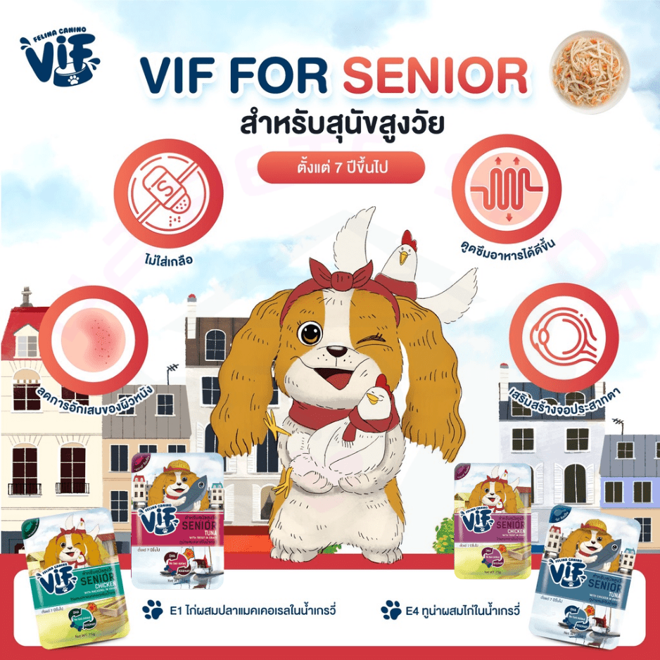 Felina canino VIF Dog Senoir อาหารเปียกสำหรับสุนัขอายุตั้งแต่ 7 ปีขึ้นไป ปริมาณ 75 กรัม