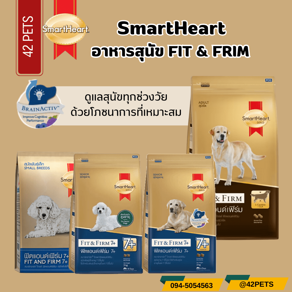 Smart heart gold fit & firmอาหารเม็ดสำหรับสุนัขโตพันธุ์เล็ก พันธุ์ใหญ่ และสุนัขสูงวัย อาหารสุนัขสูงวัย