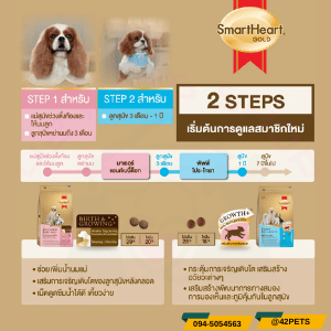 Smartheart Gold สูตร แม่ตั้งท้อง/ลูกสุนัข