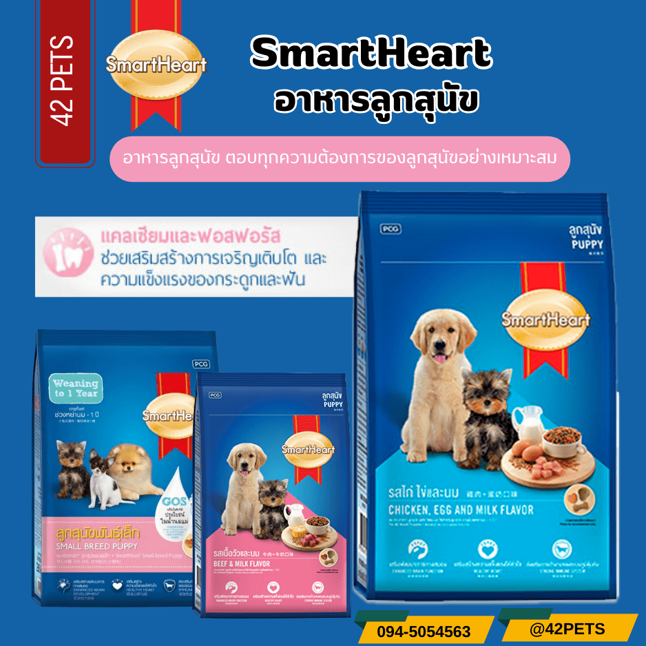 Smartheart Blue ลูกสุนัข 2 เดือน-1 ปี