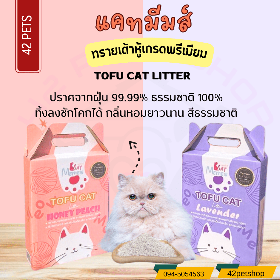 Cat memesทรายแมว แคทมีมส์