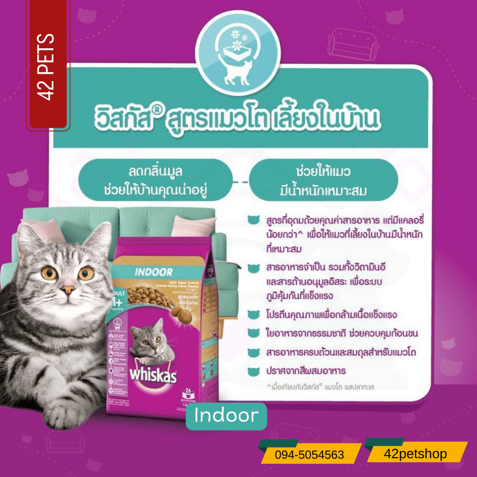 Whiskas Adult Indoor – อาหารแมวโตสูตรเลี้ยงในบ้าน