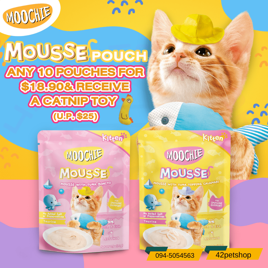 Moochie อาหารเปียกแมว สูตรสำหรับลูกแมว