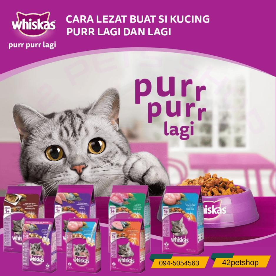 Whiskas Dry Food Adult Cat 1+ วิสกัส อาหารเม็ด แมวโตอายุ 1 ปีขึ้นไป