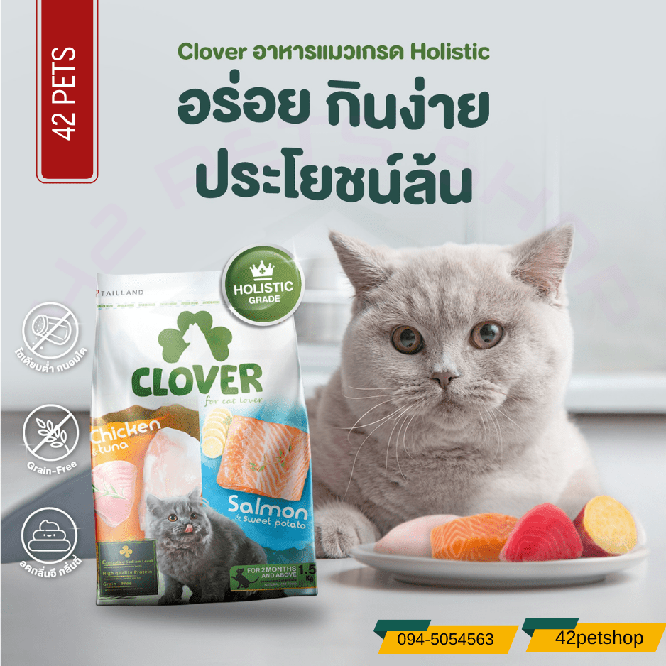 Clover อาหารแมวเกรด Holistic