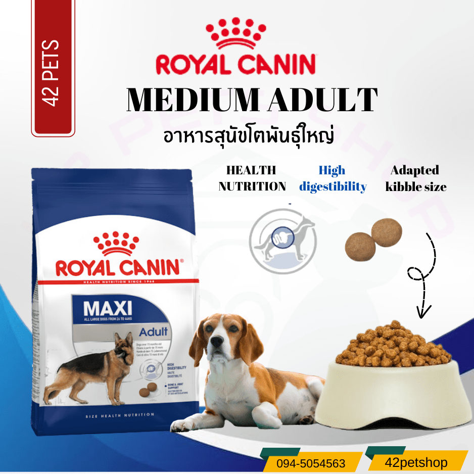 Royal Canin Maxi Adult  สำหรับสุนัขพันธุ์ใหญ่