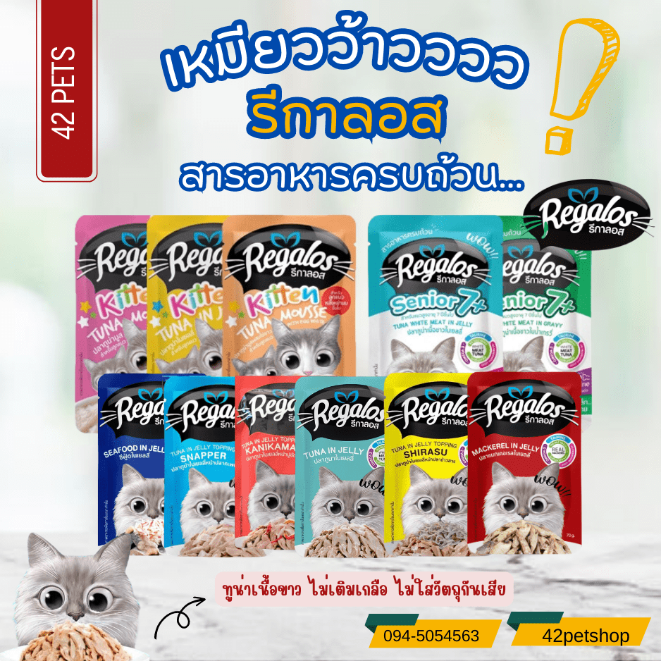 Regalos Wet Cat Food Pouches รีกาลอส อาหารเปียกแมว 70g
