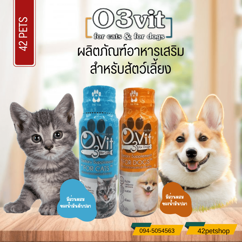 O3vit 50ml วิตามินบำรุง แมว/หมา ให้อ้วน ขนสวย แข็งแรง มีไลซีน เสริมภูมิ