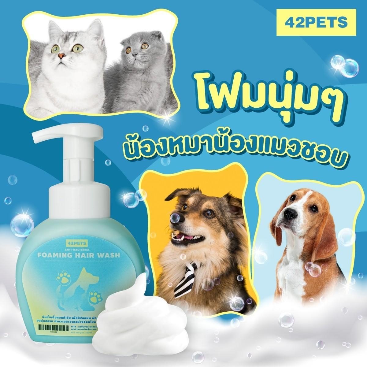 Foamming Hair  wash