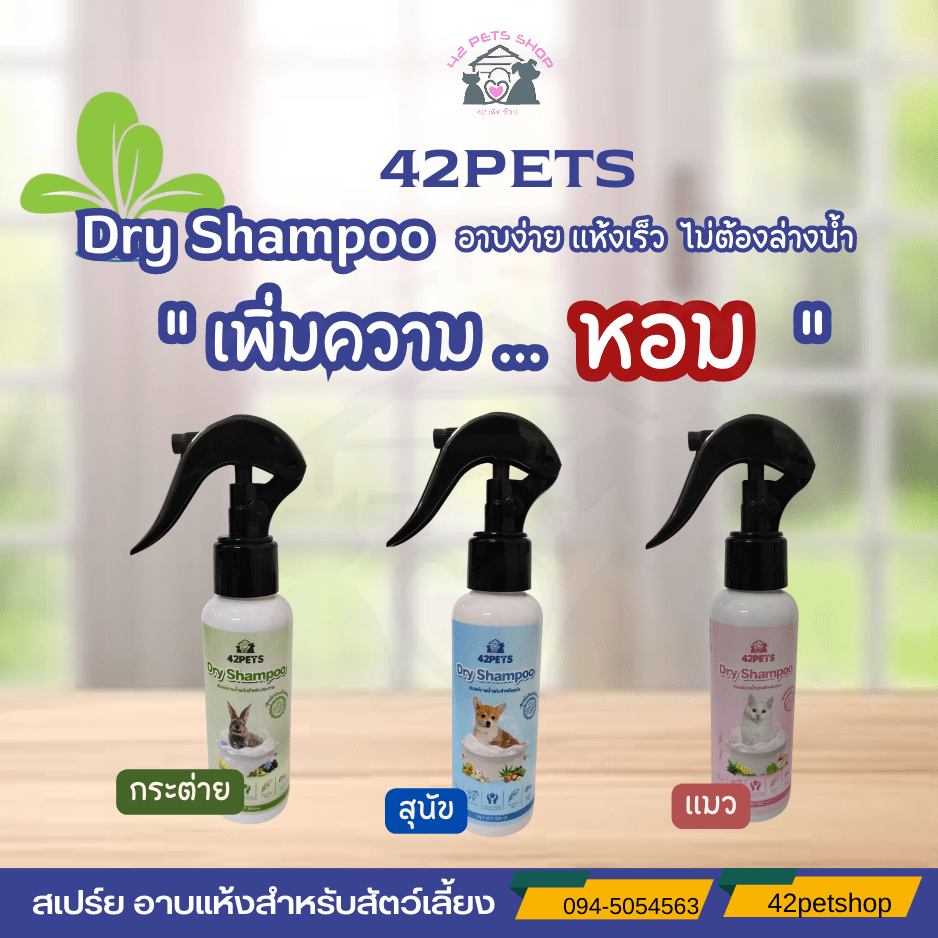 Dry Shampoo สเปร์ยอาบน้ำแห้งสำหรับสัตว์เลี้ยง