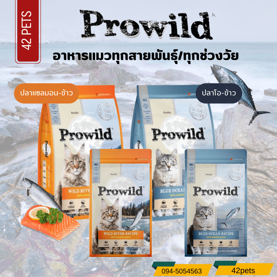 Prowild โปรไวลด์ อาหารแมวเกรด Holistic เหมาะสำหรับทุกสายพันธุ์และทุกช่วงวัย
