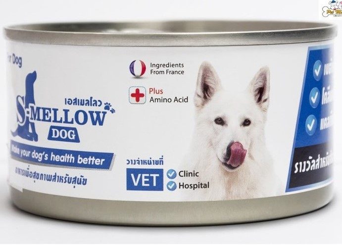 CD0172-S-Mellow สุนัข กป ฟ้า