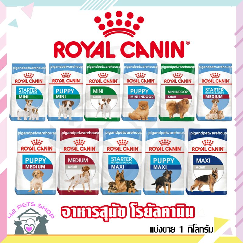 Royal canin-D 1.5kg.(Adult Poodle)